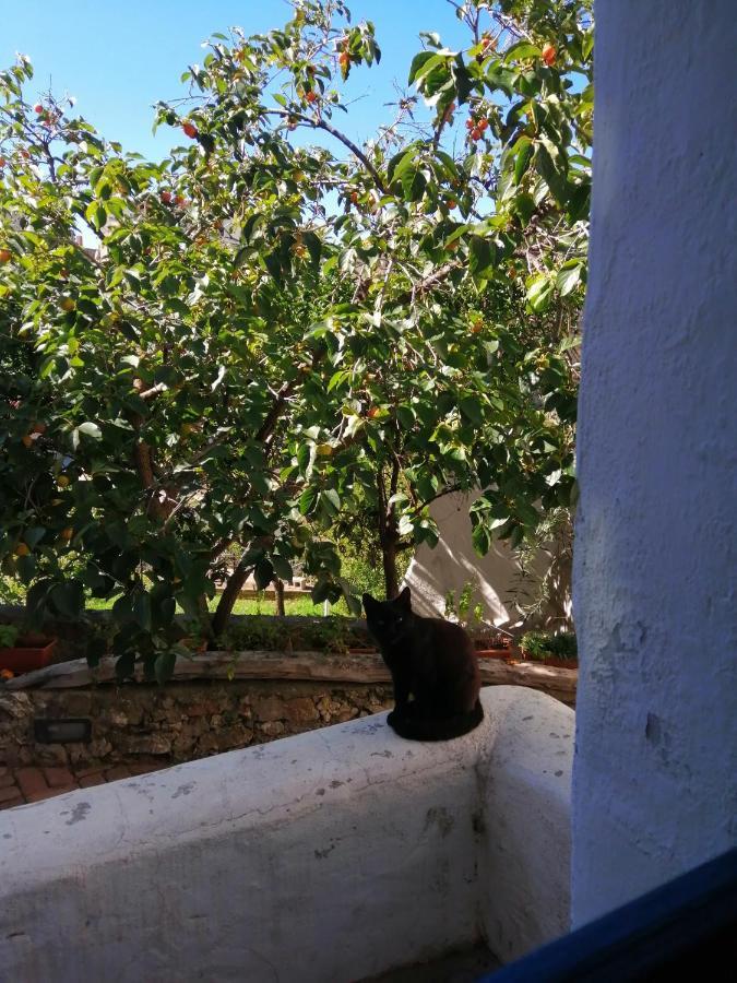 B&B Corte San Lussorio Олиена Екстериор снимка