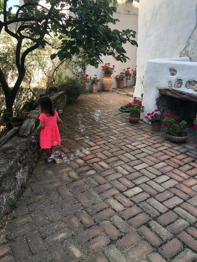 B&B Corte San Lussorio Олиена Екстериор снимка
