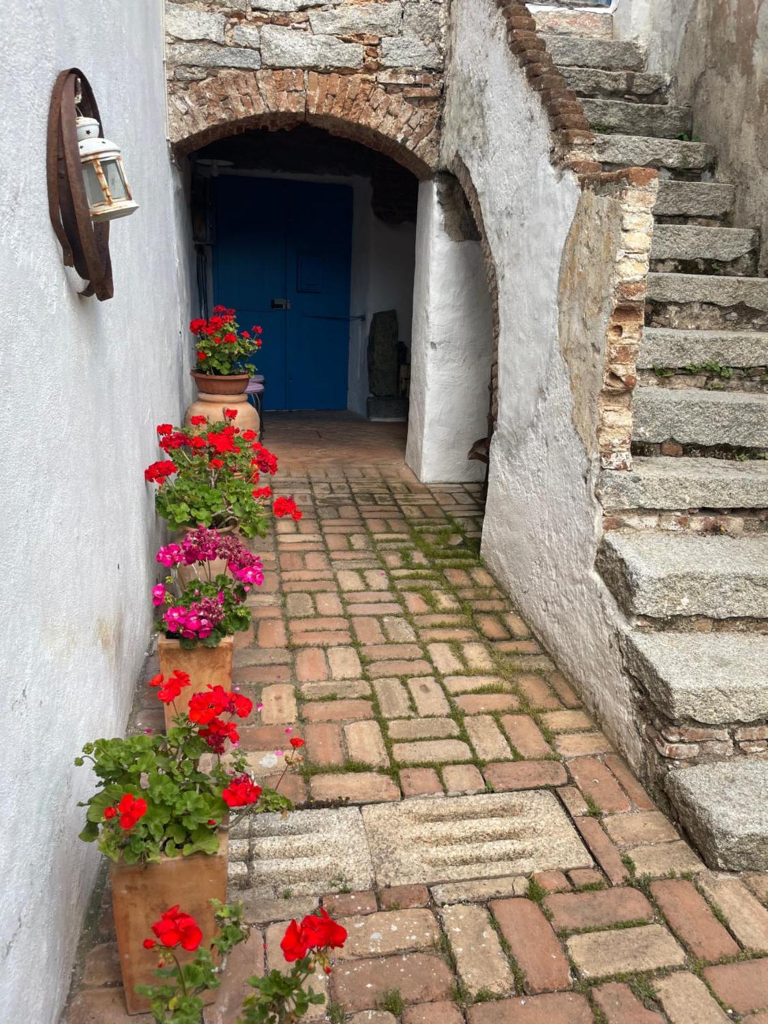 B&B Corte San Lussorio Олиена Екстериор снимка