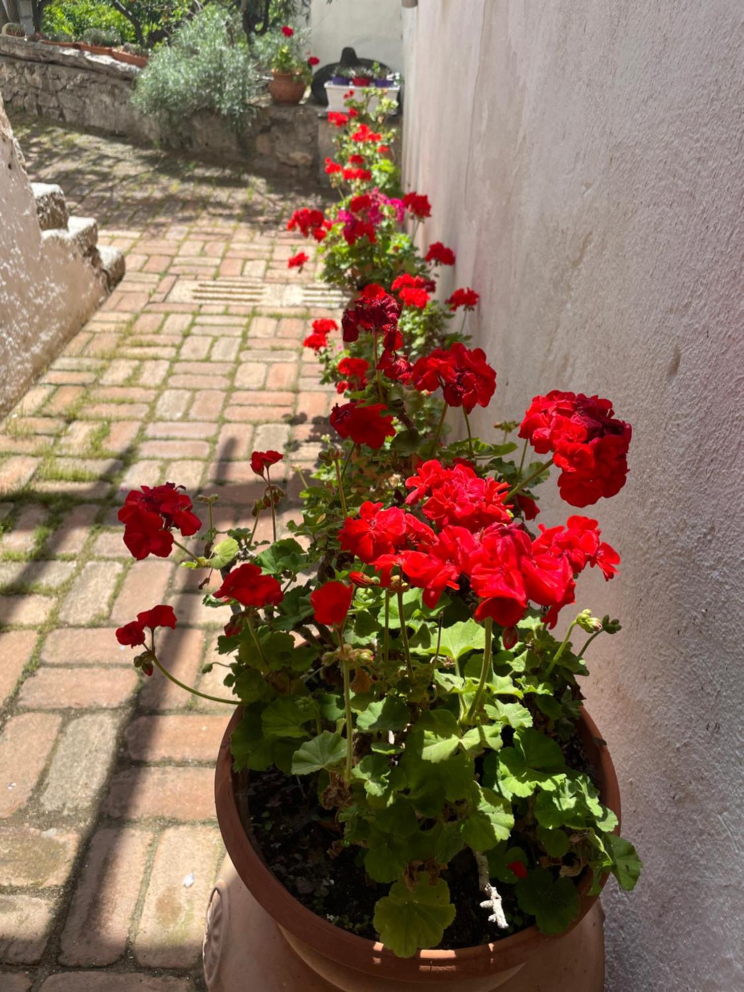 B&B Corte San Lussorio Олиена Екстериор снимка