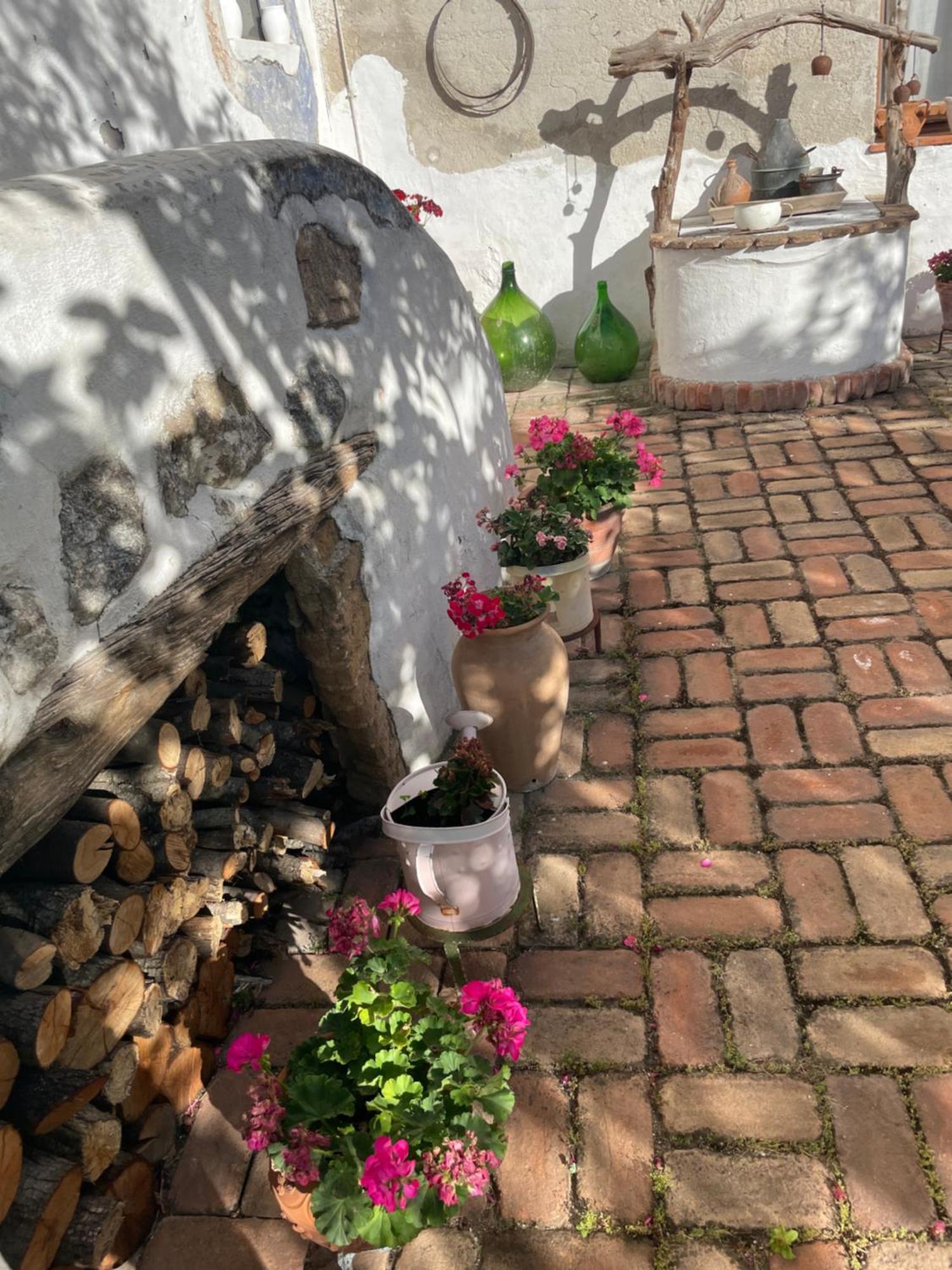 B&B Corte San Lussorio Олиена Екстериор снимка